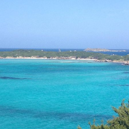 Grand Studio Route Des Sanguinaires Tres Belle Vue Mer Lägenhet Ajaccio  Exteriör bild