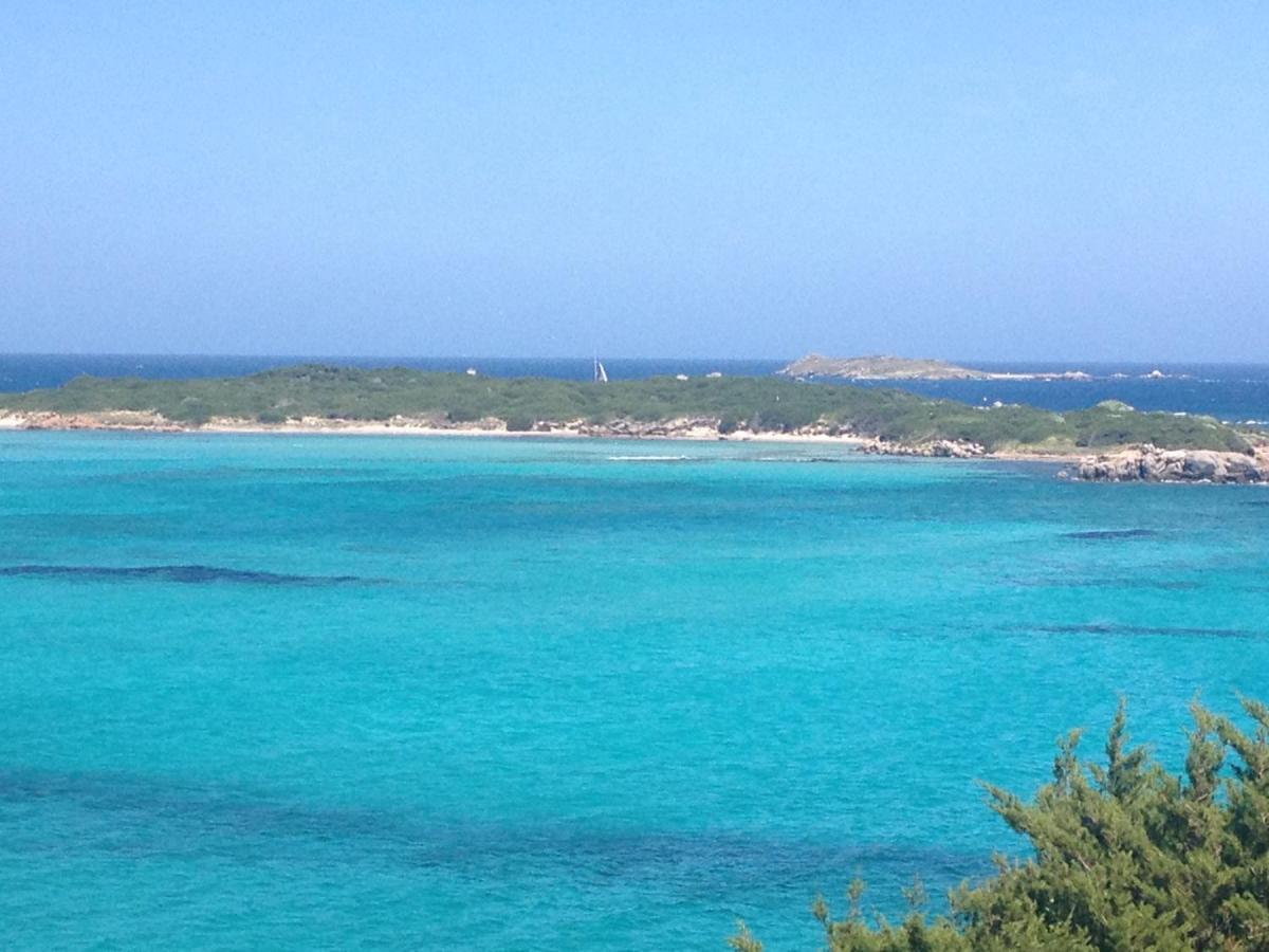 Grand Studio Route Des Sanguinaires Tres Belle Vue Mer Lägenhet Ajaccio  Exteriör bild